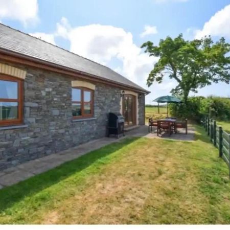 Aberystwyth Cottages - Dinas Bagian luar foto