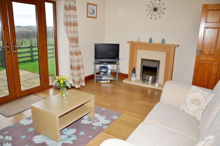 Aberystwyth Cottages - Dinas Bagian luar foto