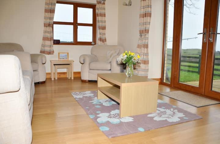 Aberystwyth Cottages - Dinas Bagian luar foto